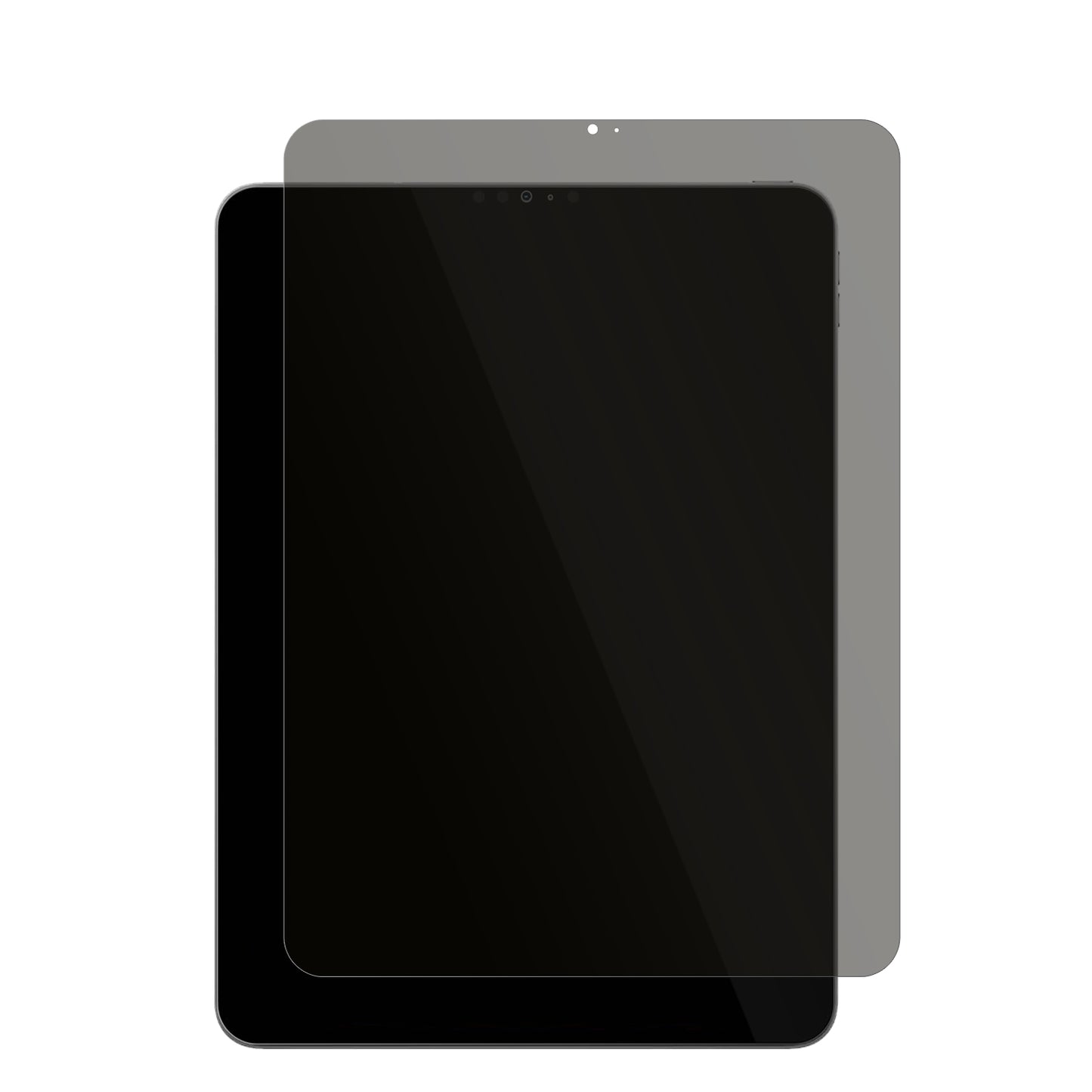 Matte Privacy Screen Protector for Apple iPad Pro 11 2022 4th Gen