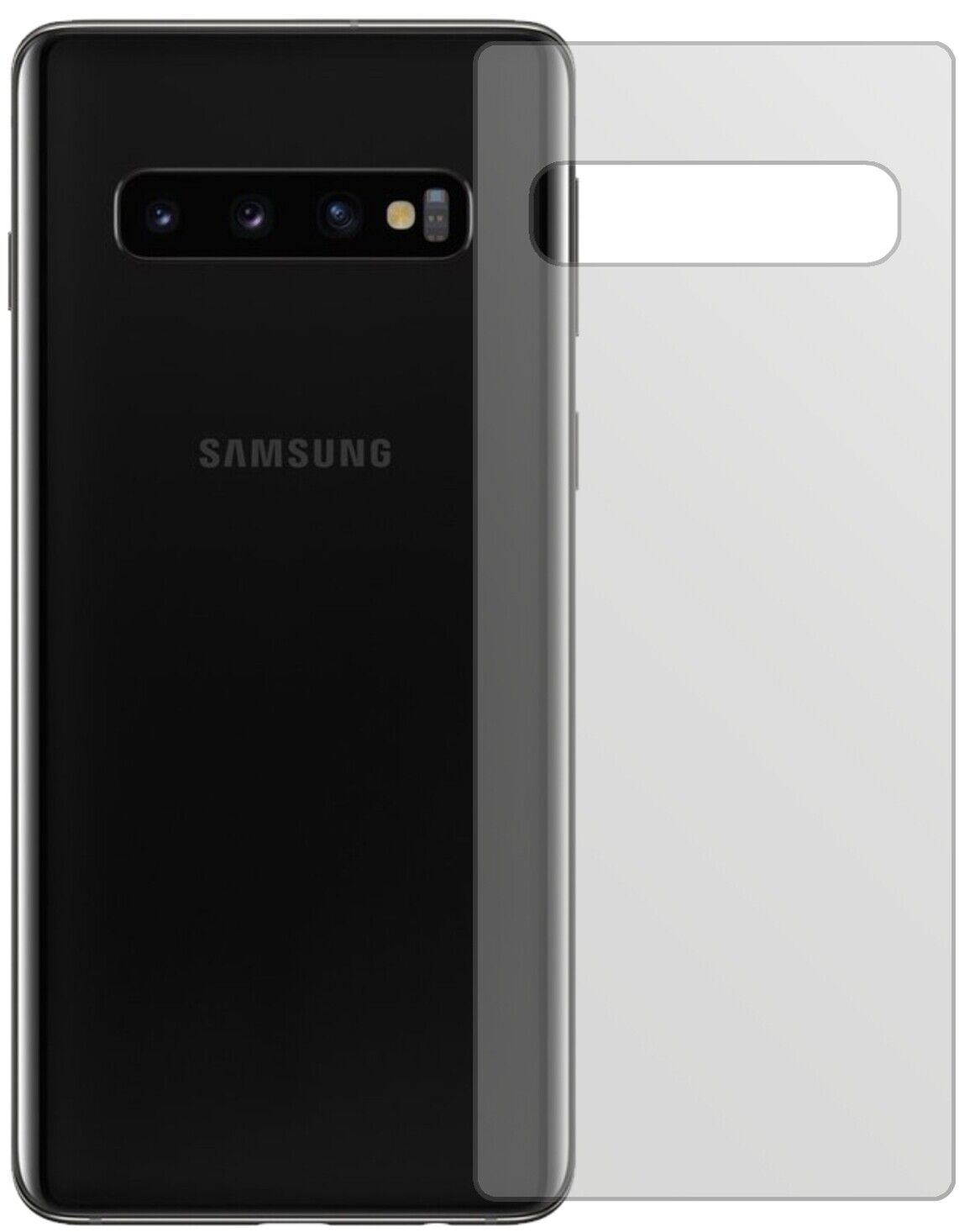 Matte Displayschutzfolie von dipos passend für Samsung Galaxy S10 Plus Rückseite, präziser Zuschnitt und blasenfrei montiert