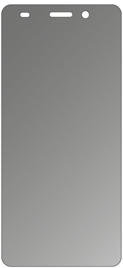 Blickschutzfolie für Swisstone SD 510 matt Schutzfolie Privacy