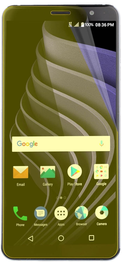 2x Screen Protector ZTE Blade Max View Protective Film covers 100% dipos Flex