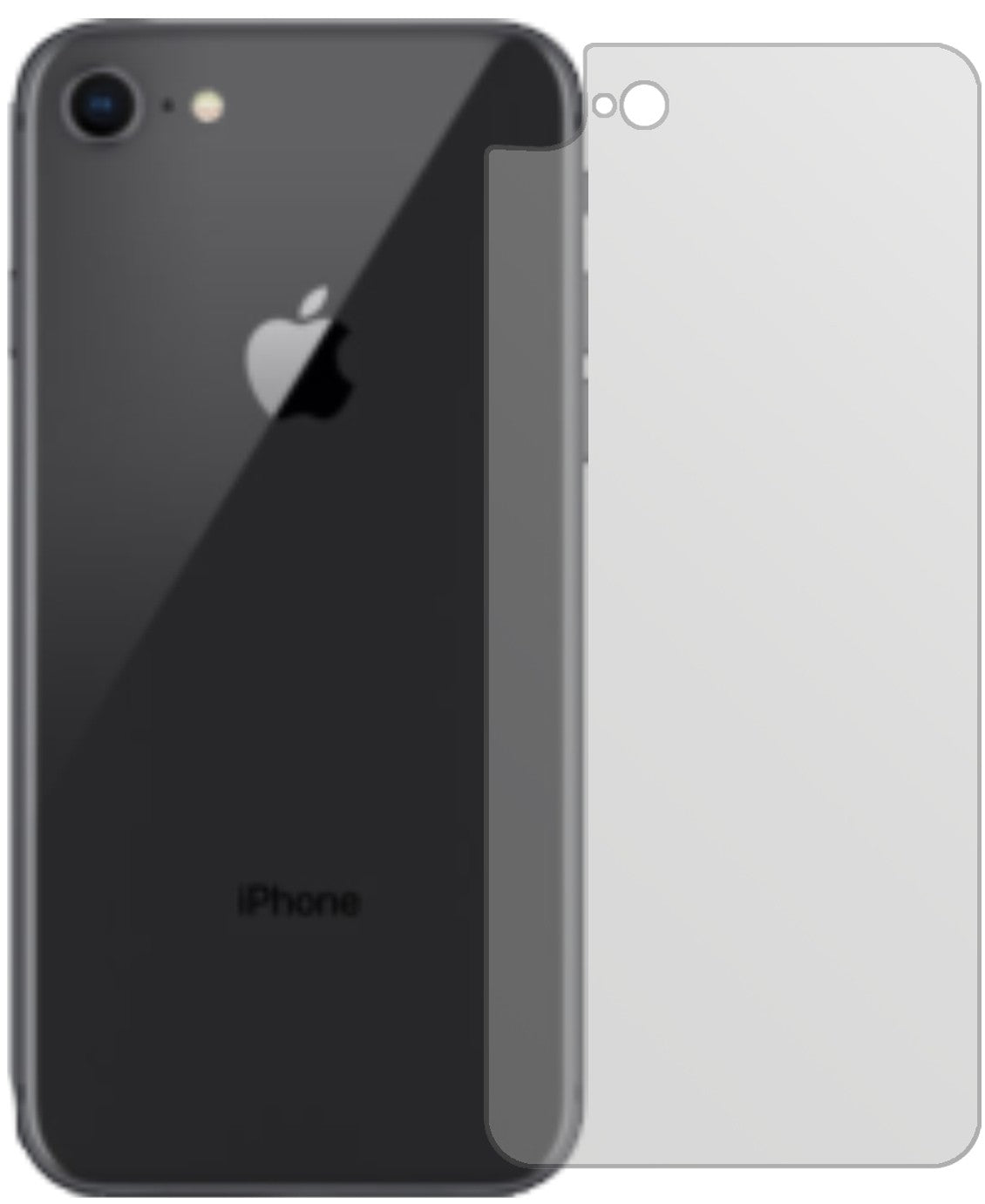AppleiPhone 8 Rückseite mit aufgebrachter dipos Displayschutzfolie, die lästige Fingerabdrücke minimiert