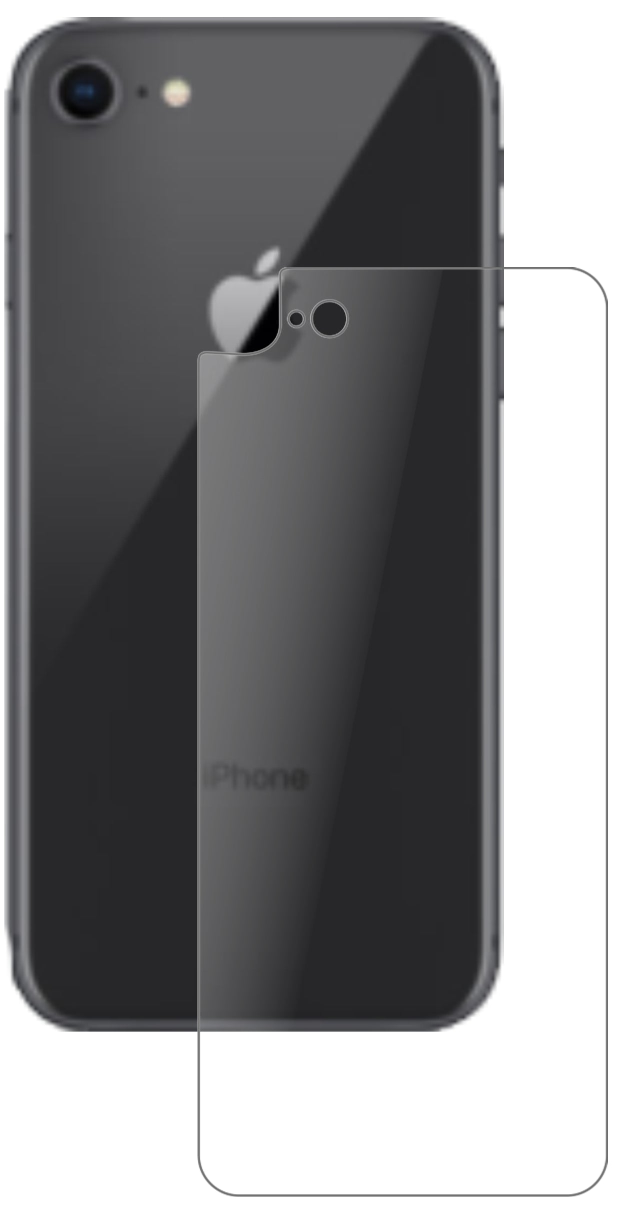 AppleiPhone SE 2 Rückseite mit aufgebrachter dipos Panzerfolie, die lästige Fingerabdrücke minimiert