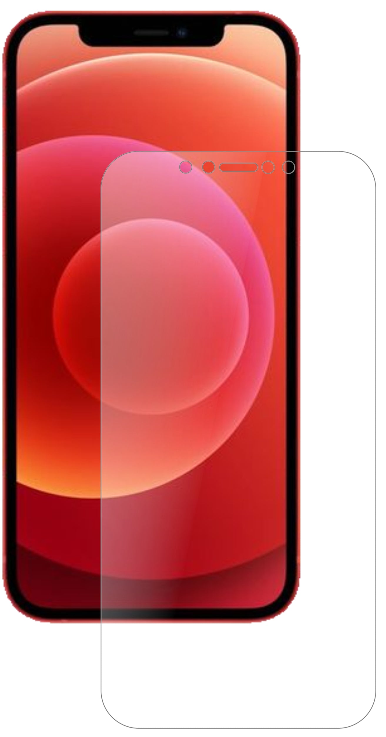 AppleiPhone 12 mit aufgebrachter dipos Panzerfolie, die lästige Fingerabdrücke minimiert