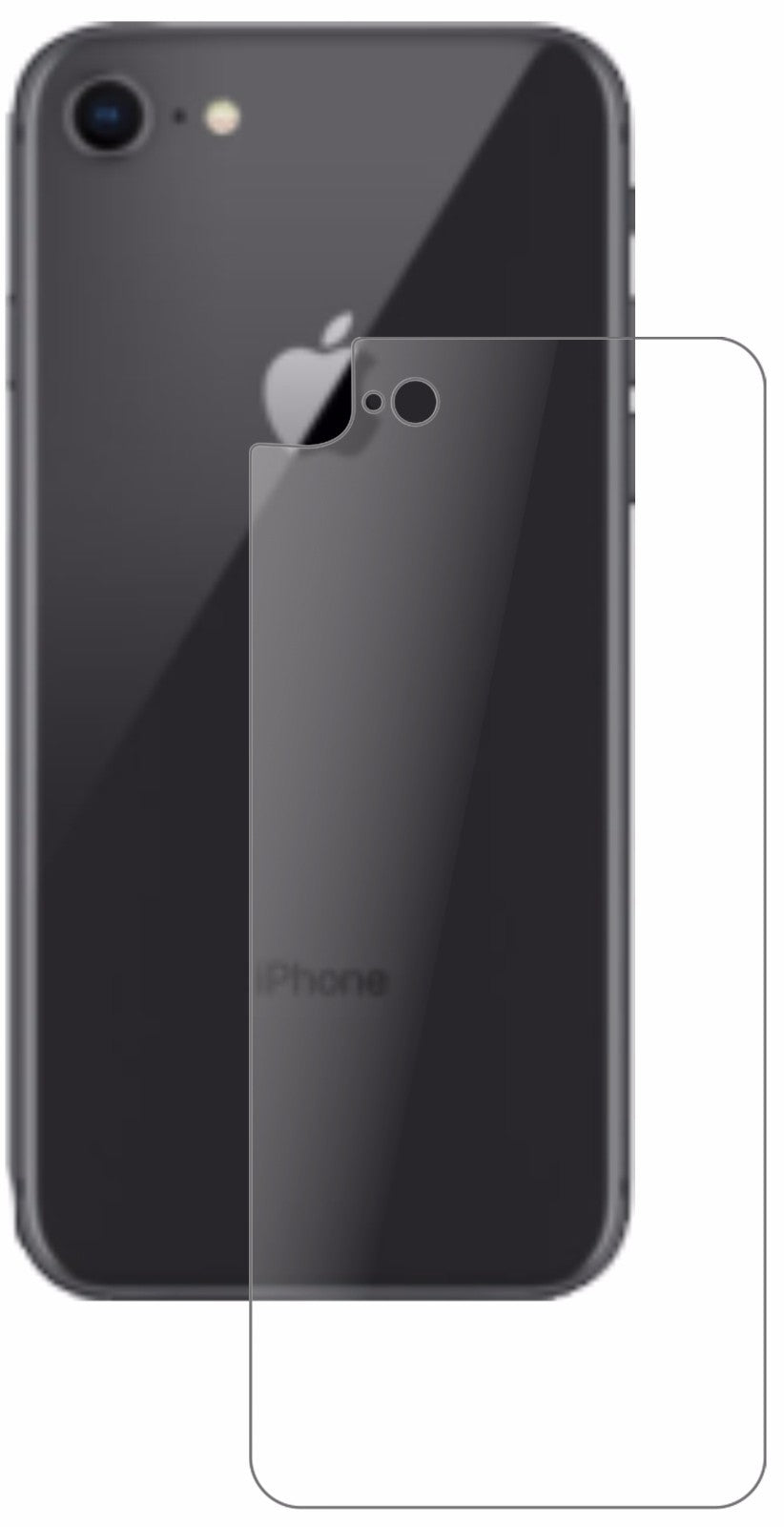 AppleiPhone 8 Rückseite mit aufgebrachter dipos Panzerfolie, die lästige Fingerabdrücke minimiert