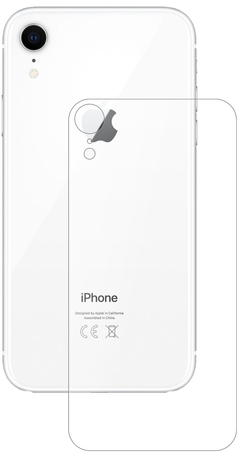 AppleiPhone XR Rückseite mit aufgebrachter dipos Panzerfolie, die lästige Fingerabdrücke minimiert
