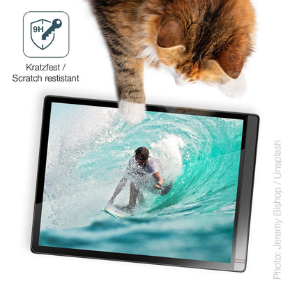 2x Screen Protector for Onyx Boox Tab X Flexible Glass 9H dipos