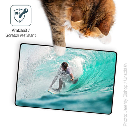 2x 9H Schutzfolie für Samsung Galaxy Tab S9+ Panze (3)