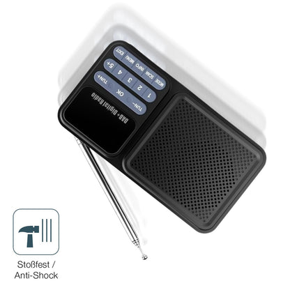 2x 9H Schutzfolie matt für Gallypek DAB Radio Panz (4)