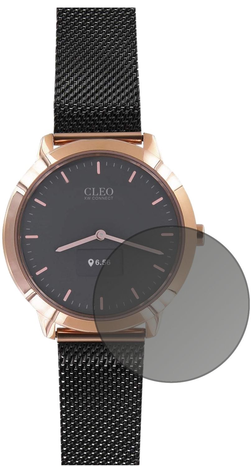 Blickschutzfolie für Cleo XW Connect matt Schutzfo (2)