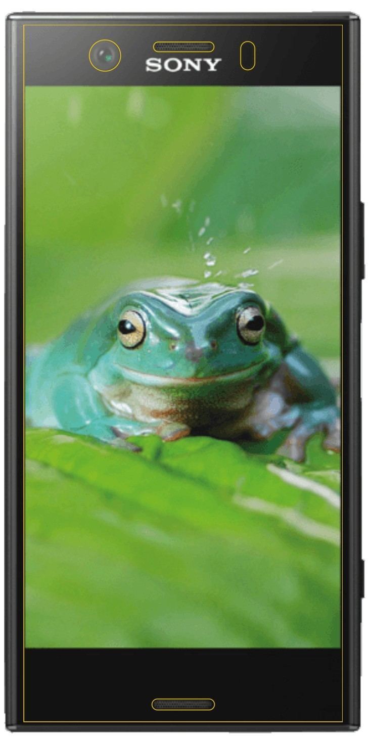 Blickschutzfolie für Sony Xperia XZ1 Compact matt  (5)