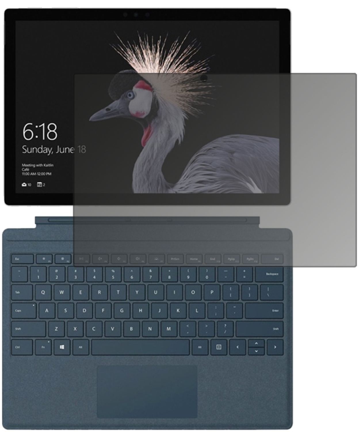 Blickschutzfolie für Microsoft Surface Pro (2017)  (1)